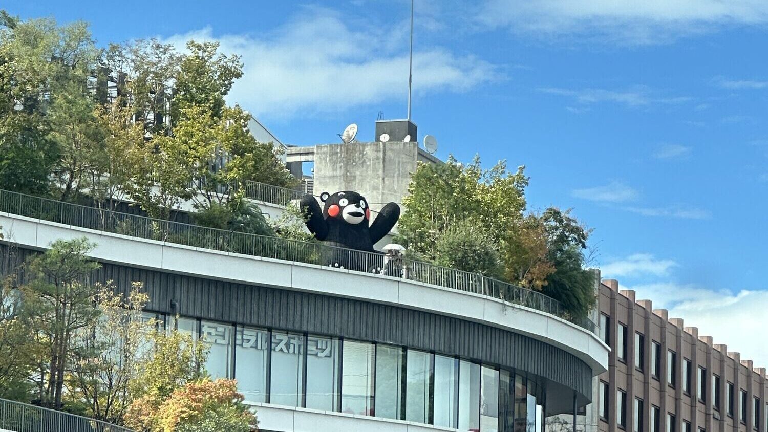 Kumamon at Sakuramachi